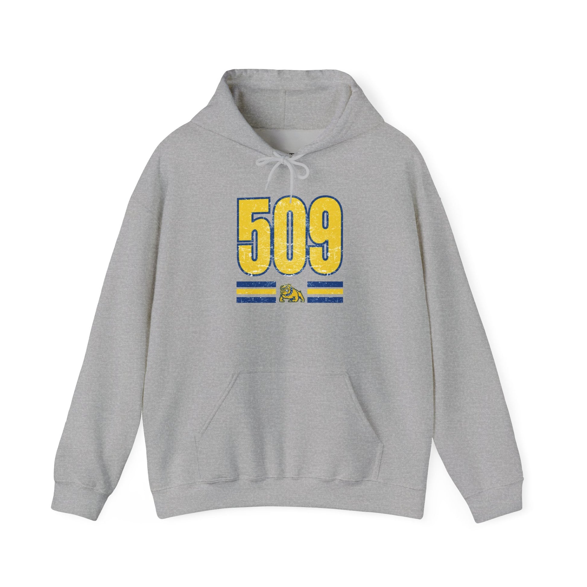 Cozy Unisex Sweatshirt Vintage 509 Design