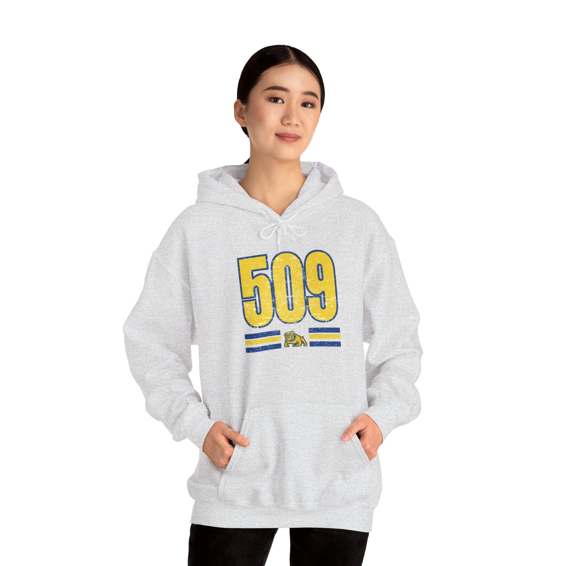 Cozy Unisex Sweatshirt Vintage 509 Design