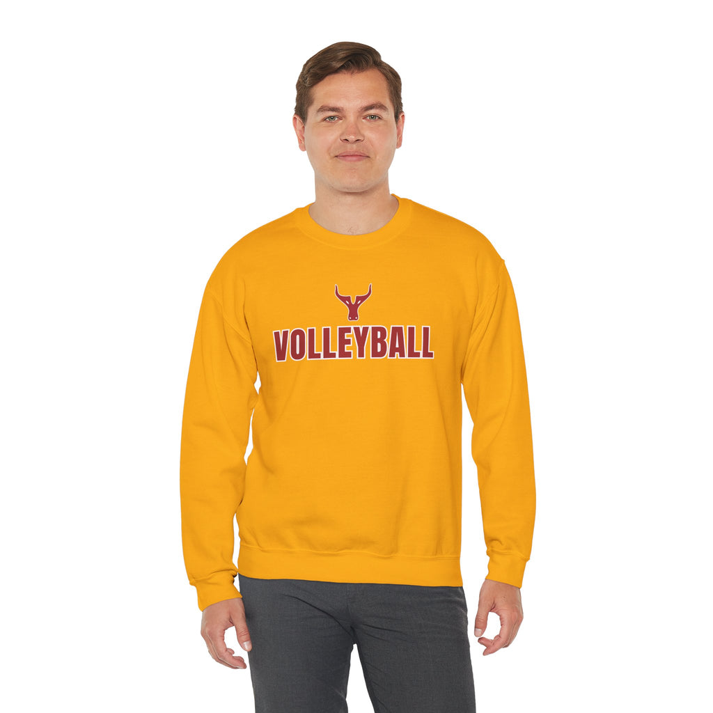Volleyball Crewneck Sweatshirt