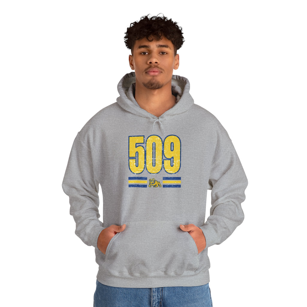 Cozy Unisex Sweatshirt Vintage 509 Design