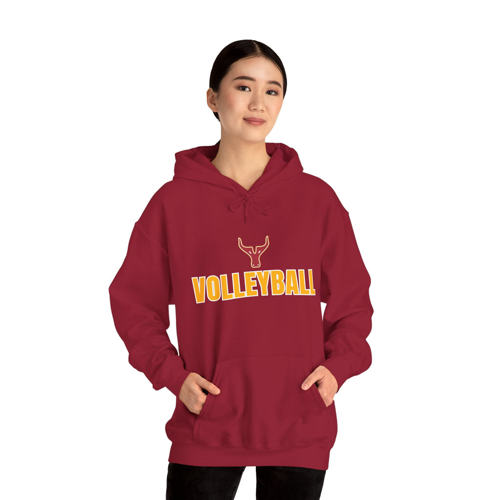 Volleyball Hoodie