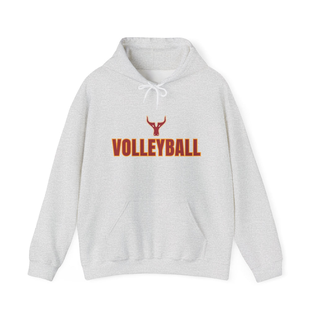 Volleyball Hoodie