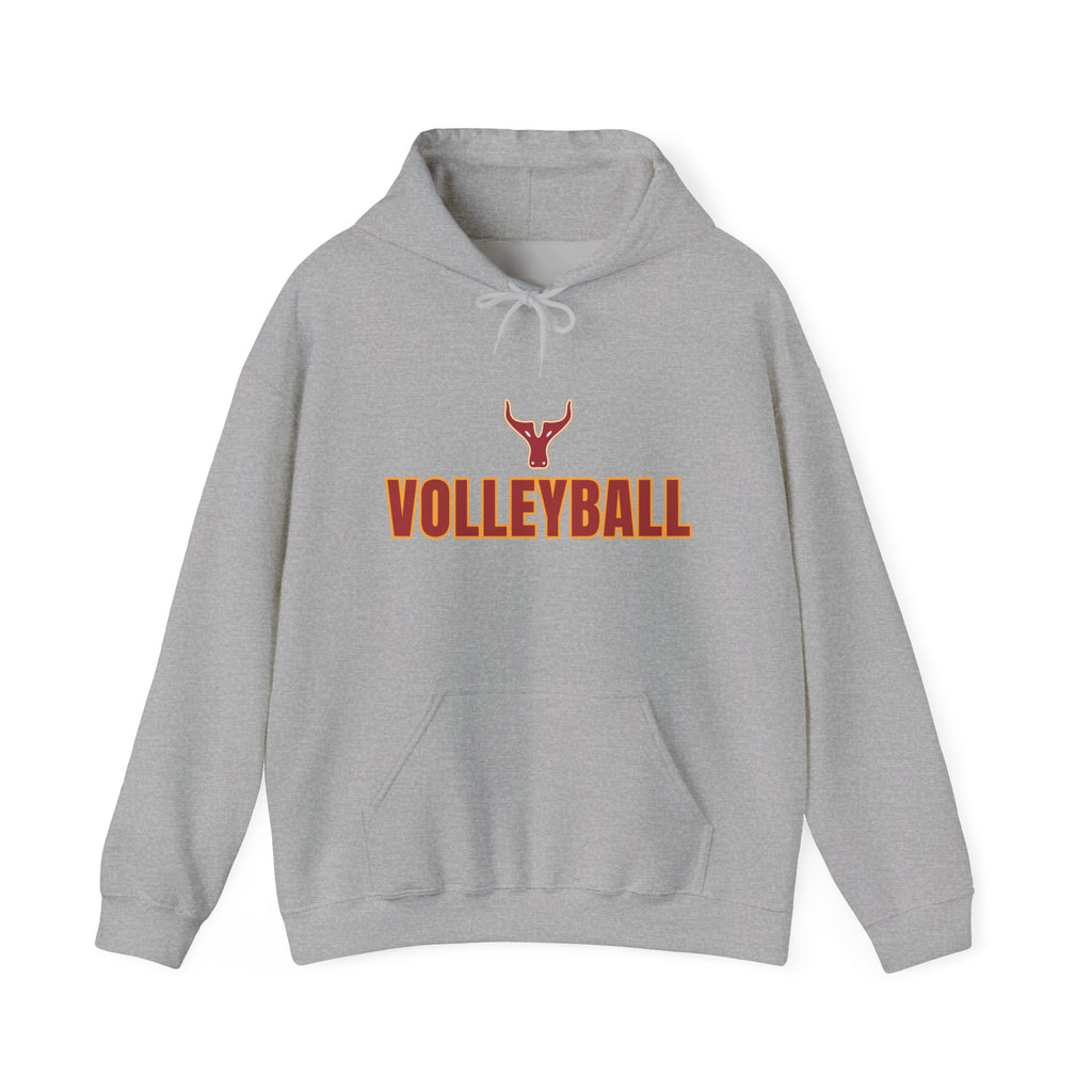 Volleyball Hoodie