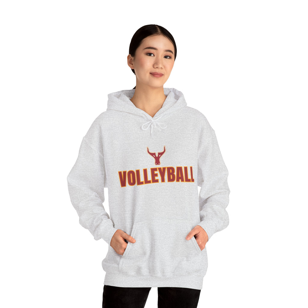 Volleyball Hoodie