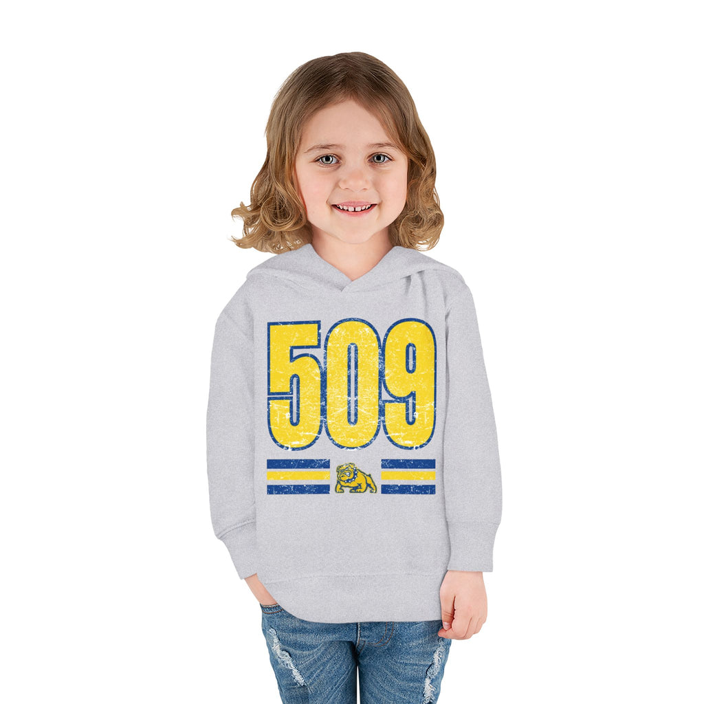 Toddler Fleece Hoodie with 509 Graphics