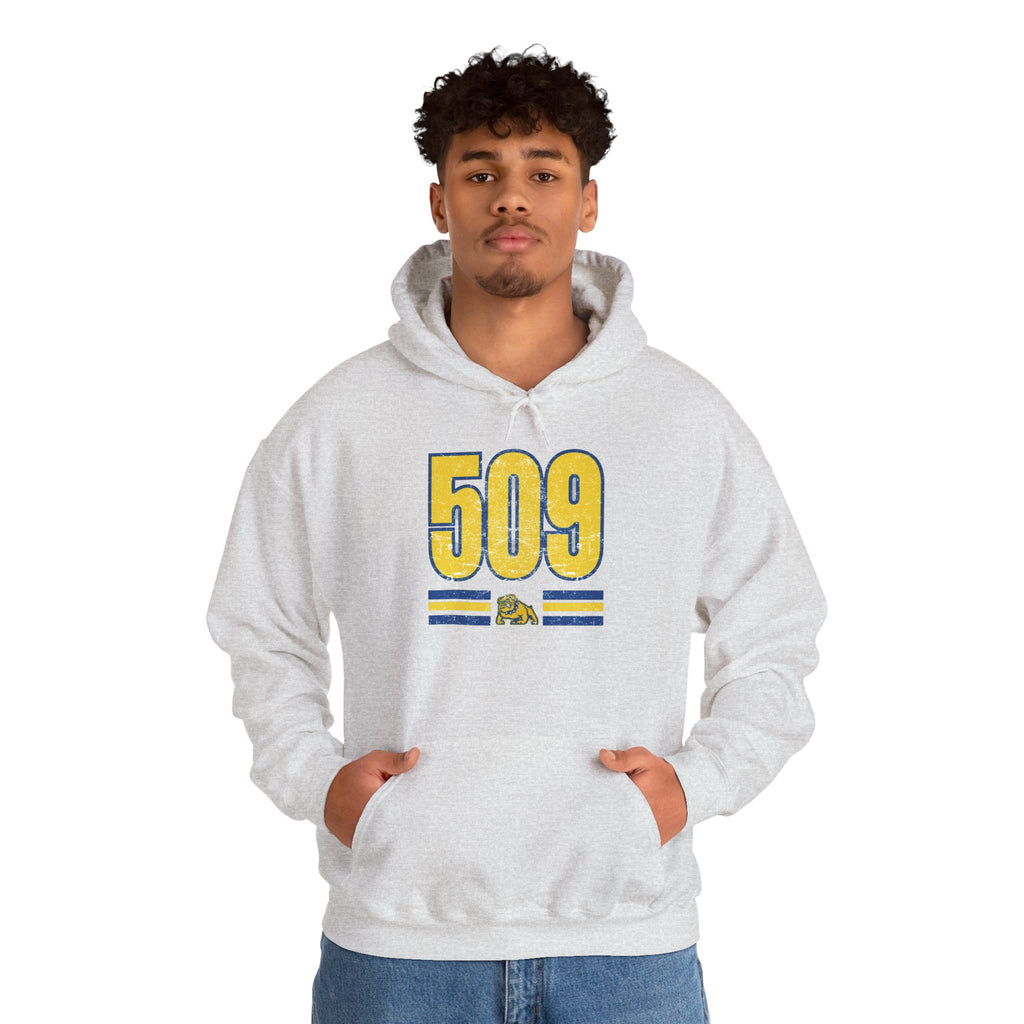 Cozy Unisex Sweatshirt Vintage 509 Design