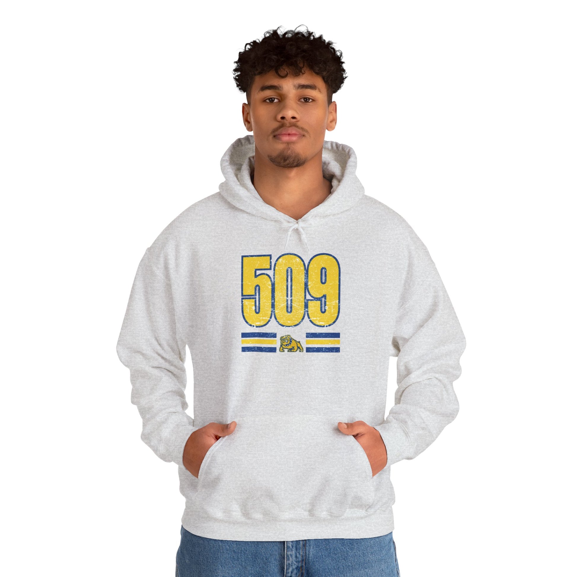 Cozy Unisex Sweatshirt Vintage 509 Design