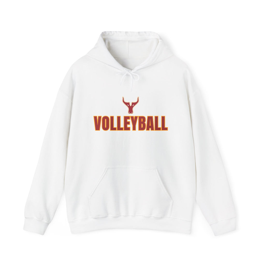 Volleyball Hoodie