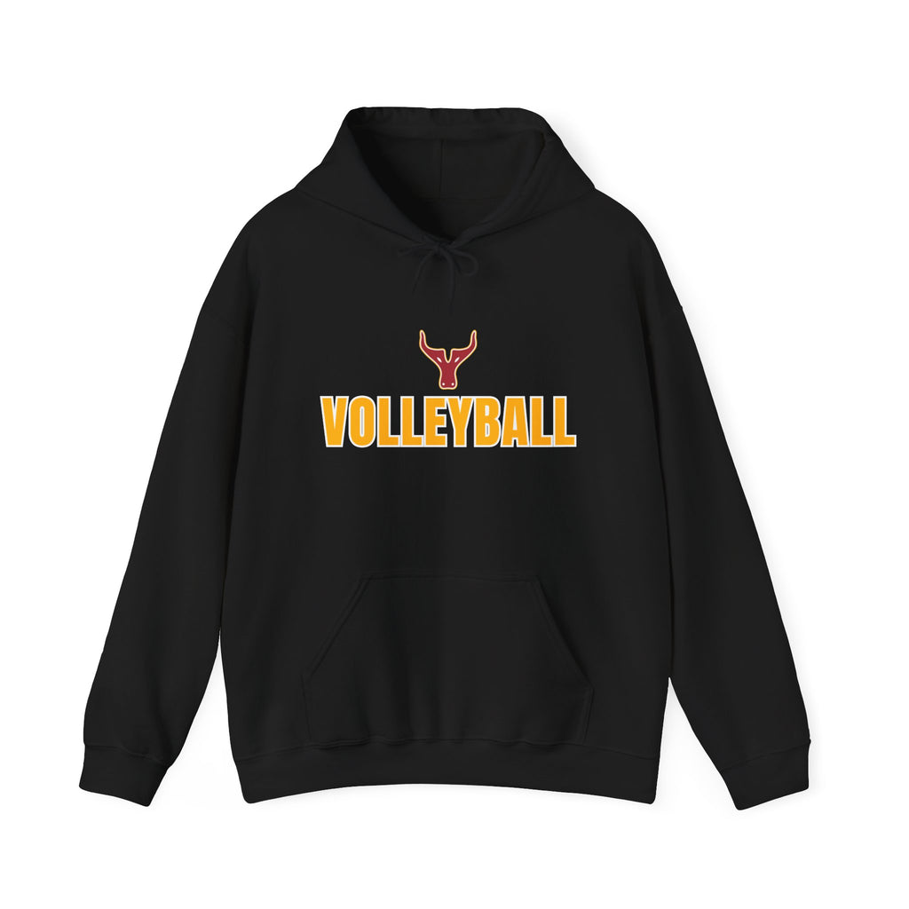 Volleyball Hoodie