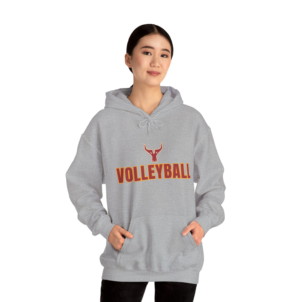 Volleyball Hoodie