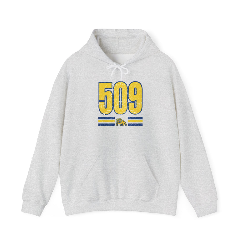 Cozy Unisex Sweatshirt Vintage 509 Design